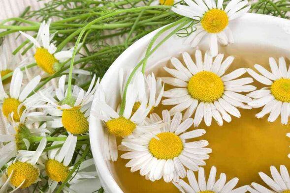 chamomile decoction to increase activity